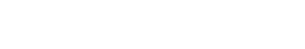 logo-martin3.png
